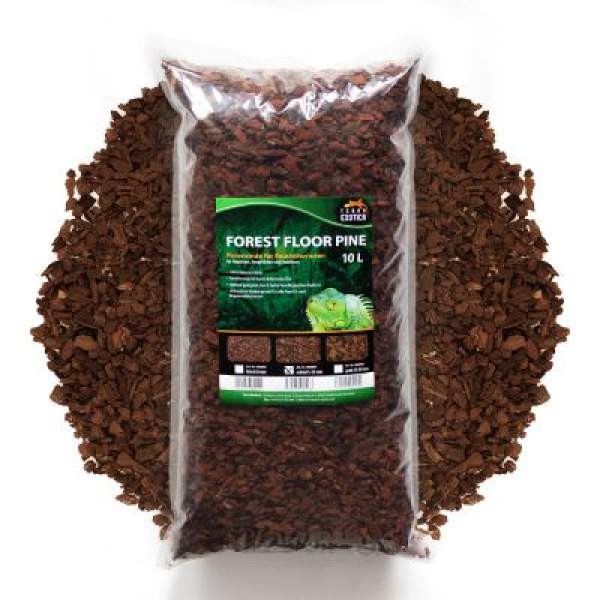 FOREST FLOOR PINE Pinienrinde für Feuchtterrarien 100 % Naturprodukt